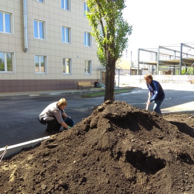 Территорию Технопарка благоустроили и очистили от строительного мусора